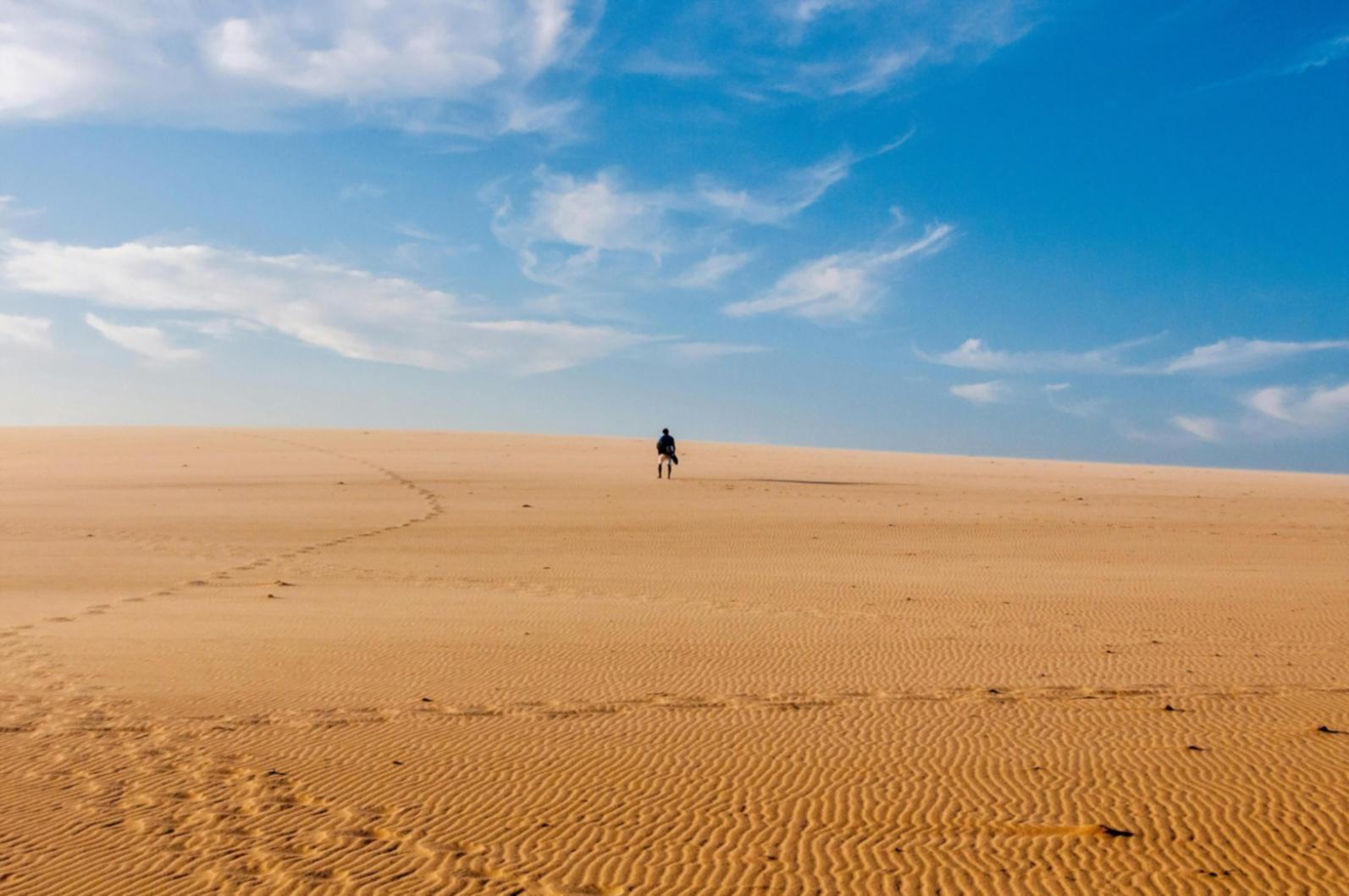 Профессиональное развитие в туризме
