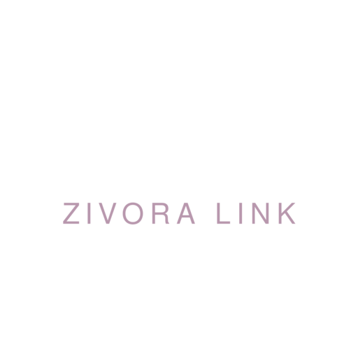 Логотип Zivora Link